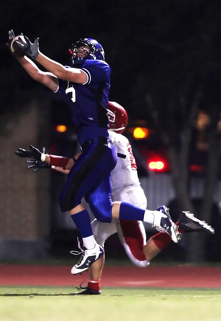 不仅会导致 不仅会导致